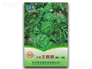 ����������-���ϷN��-����N�I(y��)