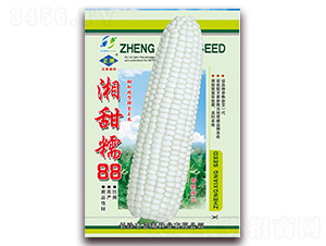 ����Ŵ88-Ŵ���׷N��-����N�I(y��)