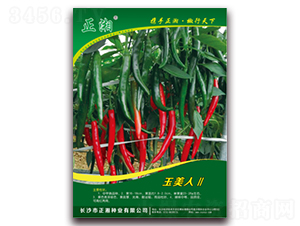 �����ˢ�-���˽��N��-����N�I(y��)