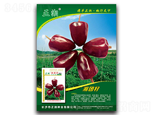 ���F(tu��n)��-���콷�N��-����N�I(y��)