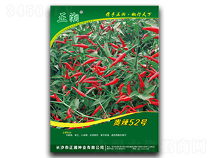 �����F��52̖(h��o)-���콷�N��-����N�I(y��)