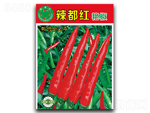 �����t�G��-���콷�N��-����N�I(y��)