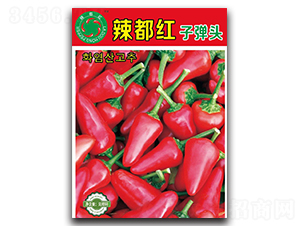 �����t�ӏ��^-���콷�N��-����N�I(y��)