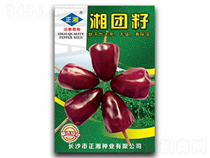 ��F(tu��n)��-���콷�N��-����N�I(y��)