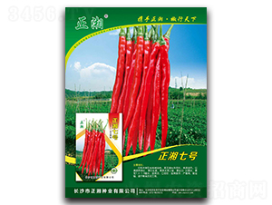 ����7̖(h��o)-�����N��-����N�I(y��)