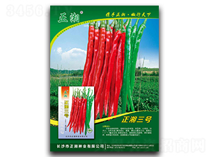 ������̖(h��o)-�����N��-����N�I(y��)