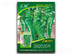 ����201-�����N��-����N�I(y��)