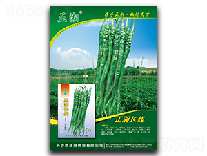 �����L(zh��ng)��-�����N��-����N�I(y��)