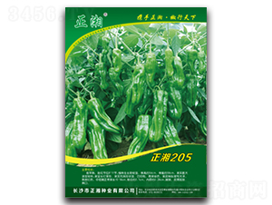 ����205-�����N��-����N�I(y��)