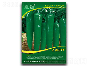 ����211-�����N��-����N�I(y��)