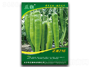 ����216-�����N��-����N�I(y��)