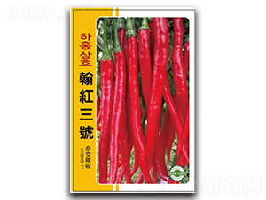 ���t��̖(h��o)-�����N��-����N�I(y��)