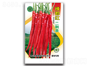 �����t���G�l-�����N��-����N�I(y��)