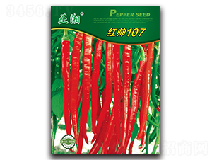 �t��107-�����N��-����N�I(y��)