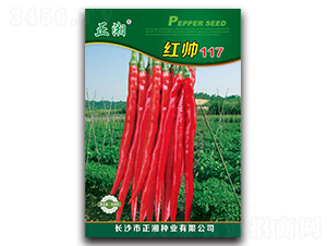 ����t��117-�����N��-����N�I(y��)