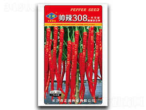 ����308���t��-�����N��-����N�I(y��)