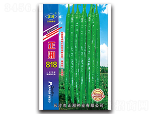 ����818-�����N��-����N�I(y��)