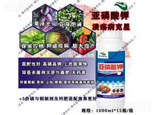 �������-�W�SԴ