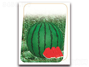 �¶��N-���ϷN��-����(y��u)�r(n��ng)�I(y��)