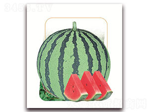 �㶼-���ϷN��-����(y��u)�r(n��ng)�I(y��)