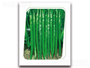 ����66-�����N��-����(y��u)�r(n��ng)�I(y��)