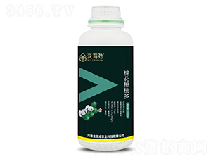 �޻����Ҷ�-���Є�-���ճ�