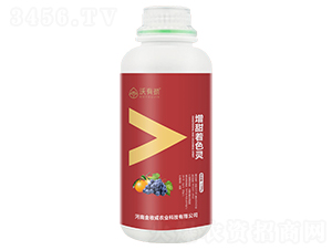 1200g������ɫ�`-���Є�-���ճ�