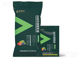 �|̦��s��⛾�-���Є�-���ճ�