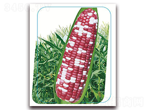 �փ�(y��u)�����Ŵ-Ŵ���׷N��-����(y��u)�r(n��ng)�I(y��)