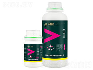 ϡ��13Ԫ�أ��M�ϣ�-���Є�-���ճ�