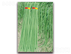 ����1̖(h��o)-�����N��-����(y��u)�r(n��ng)�I(y��)