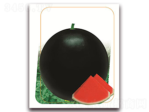 ���~ʮ��-���ϷN��-����(y��u)�r(n��ng)�I(y��)