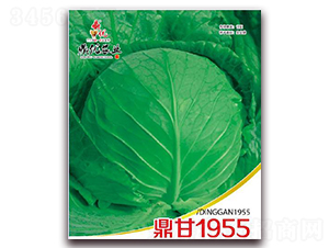 ����1955-���{�N��-����(y��u)�r(n��ng)�I(y��)