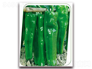 ���Aһ̖(h��o)-�����N��-����(y��u)�r(n��ng)�I(y��)