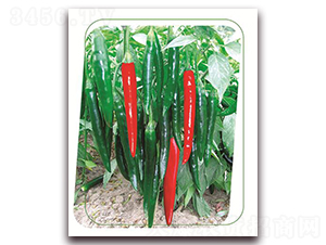 ���s-�����N��-����(y��u)�r(n��ng)�I(y��)