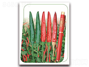 �η�5̖(h��o)-�����N��-����(y��u)�r(n��ng)�I(y��)