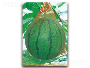 �G�C��-���ϷN��-����(y��u)�r(n��ng)�I(y��)