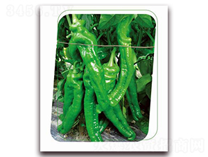 ��(gu��)�e7̖(h��o)-�����N��-����(y��u)�r(n��ng)�I(y��)