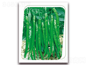 ����22-�����N��-����(y��u)�r(n��ng)�I(y��)