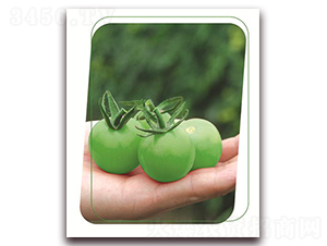 �Gؐ-���ѷN��-����(y��u)�r�I(y��)