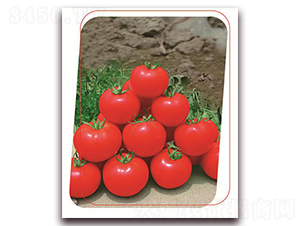 �±�-���ѷN��-����(y��u)�r�I(y��)