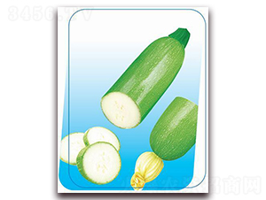 ����-�����J�N��-����(y��u)�r(n��ng)�I(y��)