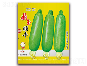 ������S-�����J�N��-����(y��u)�r(n��ng)�I(y��)