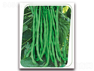 �����ܶ���-�����N��-����(y��u)�r(n��ng)�I(y��)