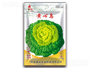 �S�Ğ�-�~�˷N��-����(y��u)�r(n��ng)�I(y��)