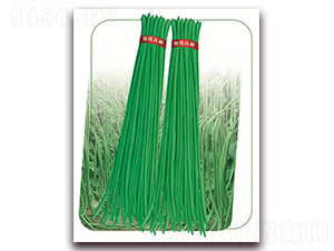 ����8̖(h��o)-�����N��-����(y��u)�r(n��ng)�I(y��)