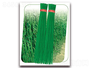 ����7̖(h��o)-�����N��-����(y��u)�r(n��ng)�I(y��)