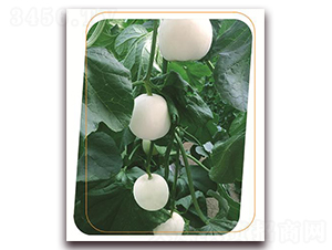 ��¶-��ϷN��-����(y��u)�r(n��ng)�I(y��)