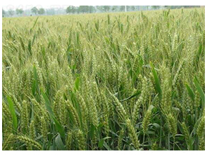 ��������32-�S�ǷN�I(y��)