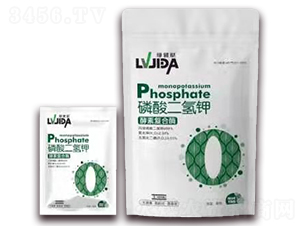 ��������-�_��������